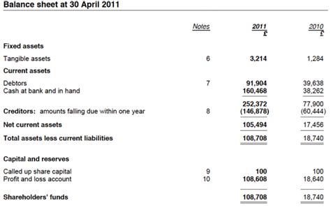 Your Balance Sheet And Profit And Loss Account Explained It Contracting