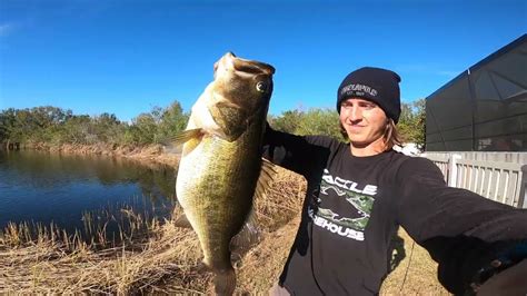 Pound Largemouth Bass Potential Pb Youtube