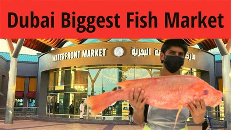 Dubai Biggest Fish Marketwaterfront Market Deira Bur Dubai To Deira