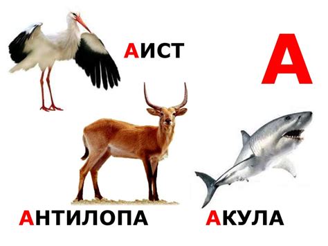 Читаем алфавит. Животные А - Д - презентация онлайн