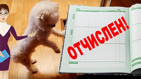 БИЛА ВЫГНАЛИ ИЗ ШКОЛЫ! СПРЯТАЛ ДНЕВНИК ОТ ПАПЫ! - YouTube