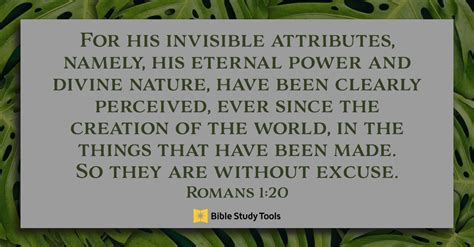 Finding God in Creation (Romans 1:19-20) - Your Daily Bible Verse ...