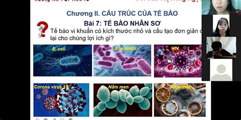 So sánh sự khác biệt giữa vi khuẩn gram âm và vi khuẩn gram dương