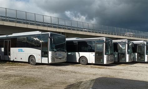 In Basilicata 80 Nuovi Autobus Costati 24 Milioni Di Euro Sono A