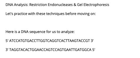 Solved DNA Analysis: Restriction Endonucleases & Gel | Chegg.com 