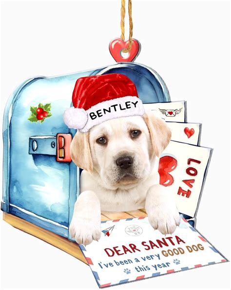 Amazon.com: Personalized Labrador Ornaments Christmas Tree - Dog Xmas ...