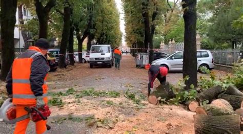 Maltempo Cesenatico Oggi Raffiche Di Vento Danni E Alberi Abbattuti