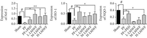 A Immunofluorescence Detection Of Nrf 2 Ho 1 Nqo1 And Ros B