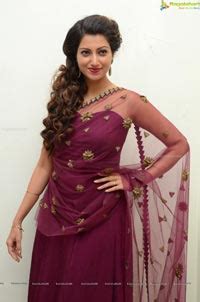 Photos Hamsa Nandini At Bengal Tiger Audio Release