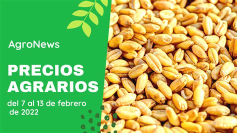 PRECIOS AGRARIOS Bajan los cereales y el ibérico mientras repuntan