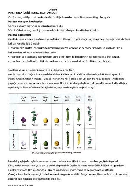 8 Sınıf Fen Bilimleri KALITIM Konu Özeti DersLig