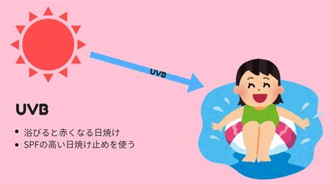 紫外線の量が1番多い時期はいつ？uva・uvb・uvcの違いを分かりやすく説明する！ Lovelog オゾン層 紫外線 細胞膜