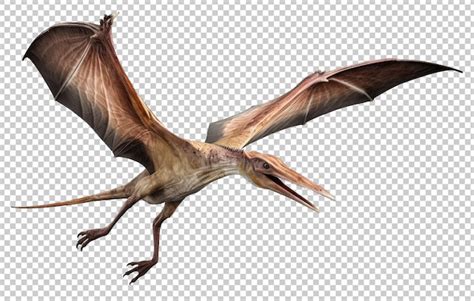 Pterod Ctilo Volador Aislado Sobre Fondo Transparente Archivo Psd Premium