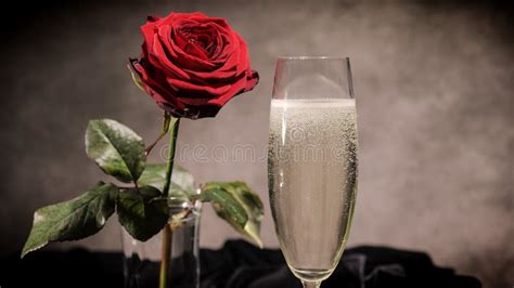 Glasses Of Champagne On Plain White Background Product Photography Stock Image Image Of