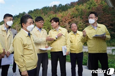 소나무재선충병 피해지 찾은 남성현 청장 네이트 뉴스