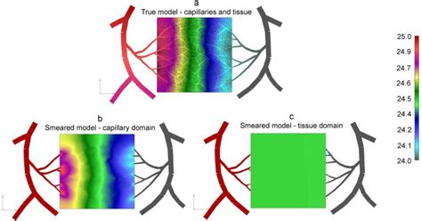 Figure 1 From A Composite Smeared Finite Element For Mass Transport In