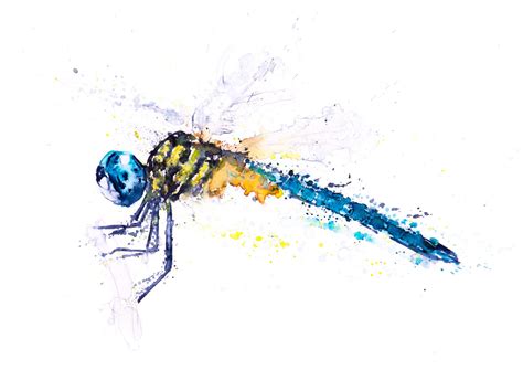 Dragonfly Watercolor Painting Watercolour Signed Limited - Etsy