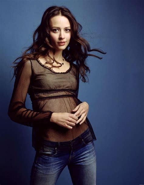 Amy Acker Amy Celebrity Pictures