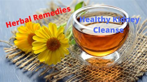 7 Best Kidney Cleanse Herbs Youtube