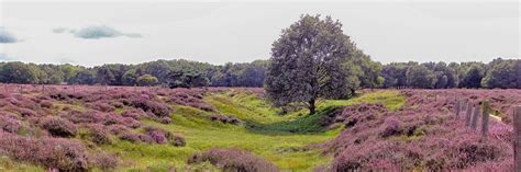 Wandelroute Rondje Remmerden Veenendaal Rhenen