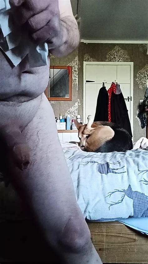 Plying Nicely British Gay Masturbation Masturbation Porn XHamster