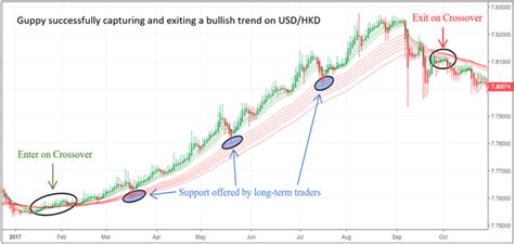 How To Easily Identify And Capture Market Trends Using Guppy