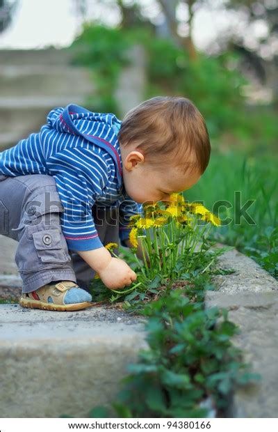 55 Human Baby Sniffing Flower Images, Stock Photos & Vectors | Shutterstock