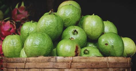 Growing Guava: The Complete Guide to Plant, Care, and Harvest Guava