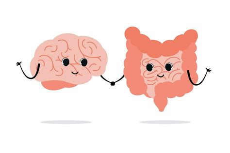 Connection Of Cute Healthy Happy Brain And Intestine Gut Characters