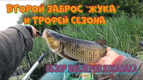 ВТОРОЙ ЗАБРОС "ЖУКА" И ТРОФЕЙ СЕЗОНА 🎣🔥🔥ОБЗОР ПОСЫЛКИ С НОВЫМИ ...