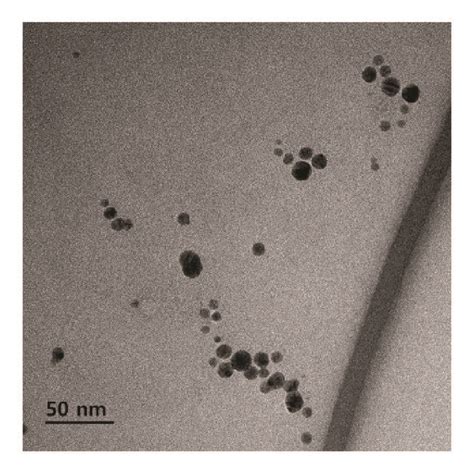 A Representative Tem Image Of The Agnps A A Particle Size