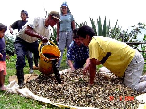 Preparaci N De Un Abono Org Nico Natural