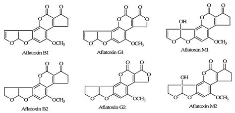 Aflatoxin