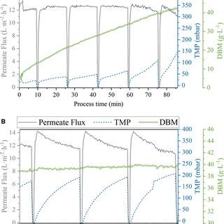 Permeateflux TMP And DBM Time Profiles For Different Modes Of