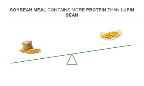 Compare Protein In Soybean Meal To Protein In Lupin Bean