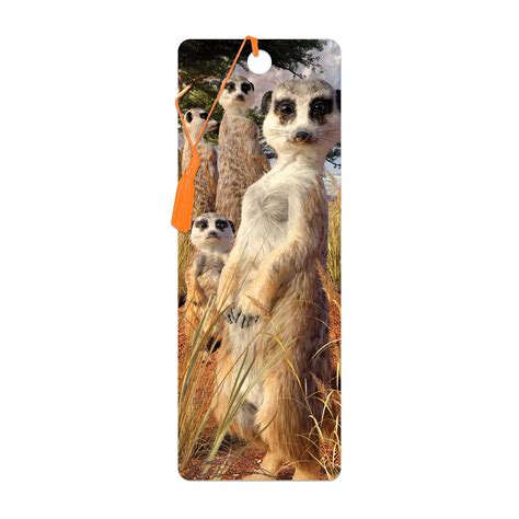 3D LiveLife Bookmark Meerkat Gaze From Deluxebase A Meerkat Book