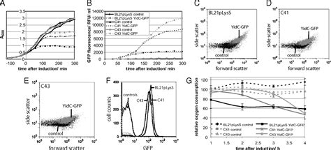 Tuning Escherichia Coli For Membrane Protein Overexpression Pnas