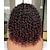 Black Wigs For Women Prettiest Afro Curly Wig Black With Warm Brown