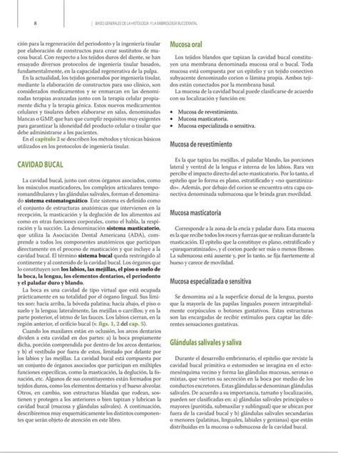 Libro De Histolog A Embriolog A E Ingenier A Tisular Bucodental Pdf