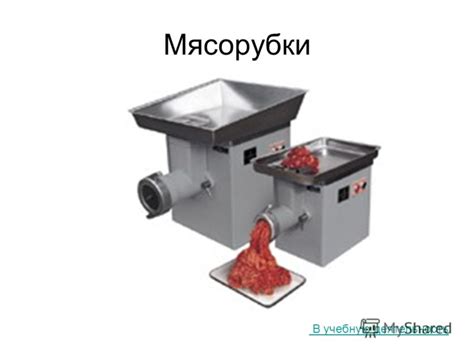 Презентация на тему: "Мясорубки В учебную деятельность.". Скачать ...
