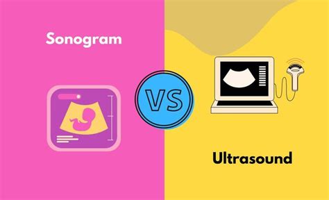 Sonogram vs. Ultrasound - What's The Difference (With Table) | Diffzy ...