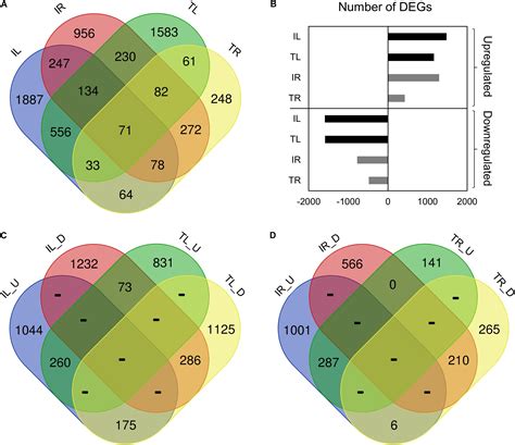 Frontiers Comparative Transcriptome Metabolome And Ionome Analysis