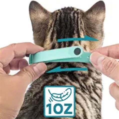 Buy Wholesale China Wearable Electric Smart Cat Laser Collar Usb