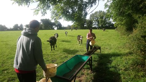 3 Generations Embrace Social Farming Agriland Social Farming Ireland