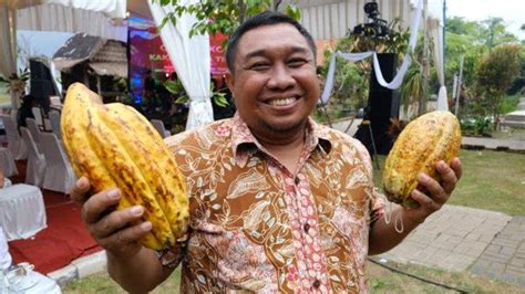 Asosiasi Petani Kakao Indonesia Sebut Potensi Cokelat Jawa Timur Perlu