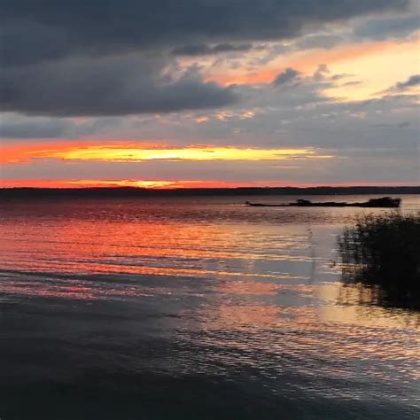 Endlich Pumpt Er Mir Sein Sperma In Meine P Free Porn Xhamster