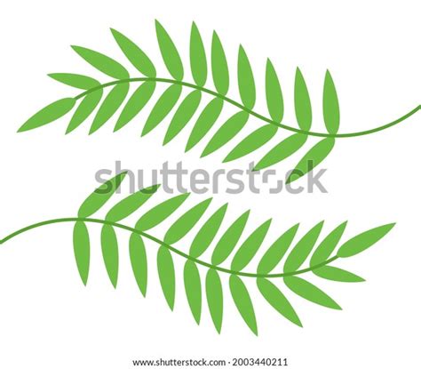 Vector Green Leaves Isolated Vector Illustration Stock Vector Royalty