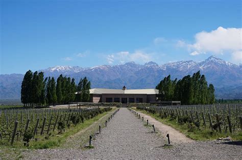 Gu A Para Visitar La Ruta Del Vino De Mendoza