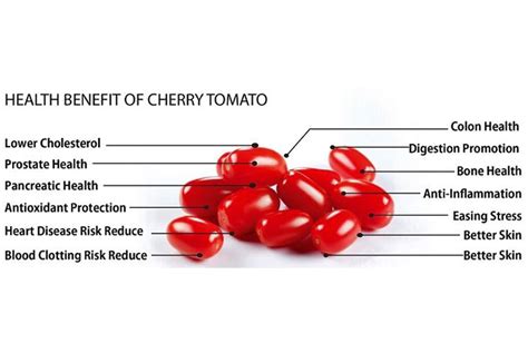 Exploring The Health Benefits Of Cherry Tomatoes