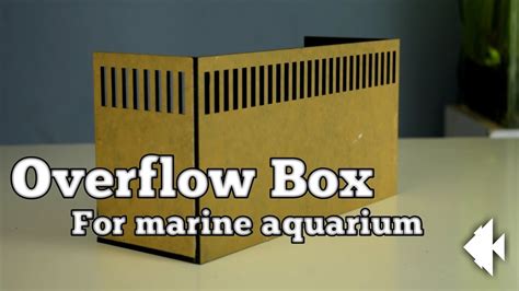 Aquarium Overflow Box Youtube